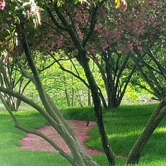 Meet your Posher, Jennifer - Picture 1 of 1